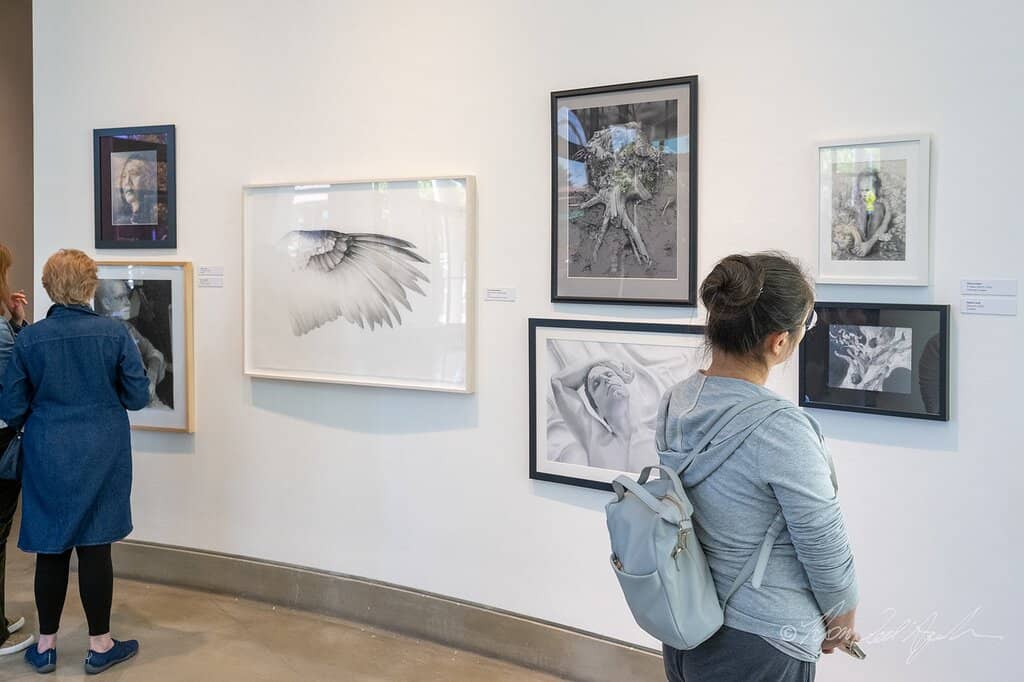 Bay Area Artist Spotlights