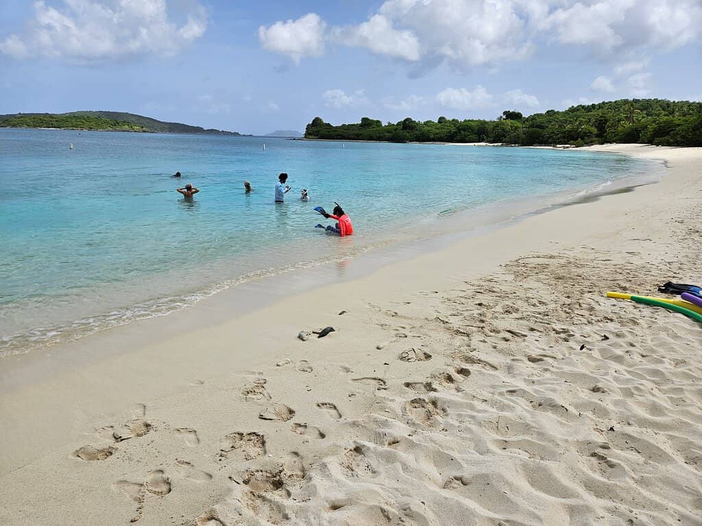 Snorkeling and Turtle Spotting