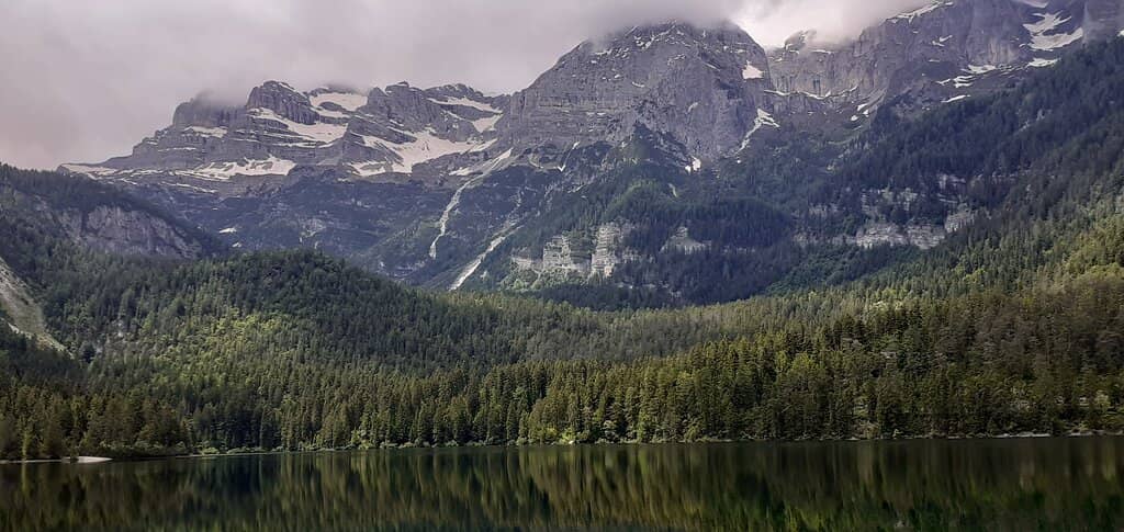 Emerald Waters