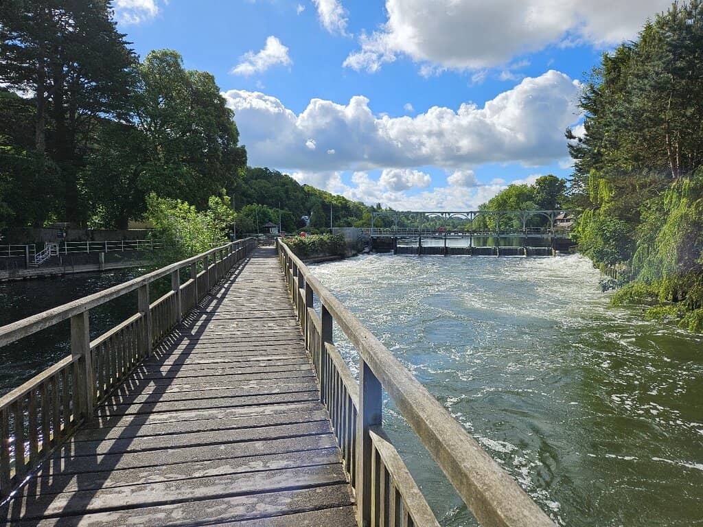 Thames Path Wildlife