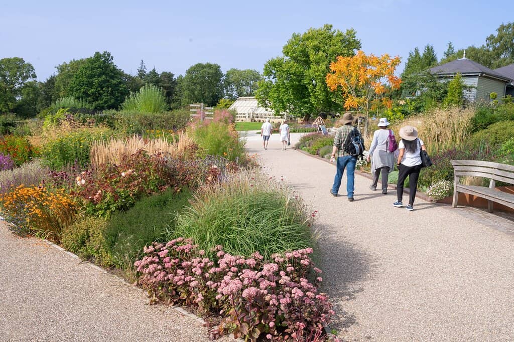 Streamside Walk
