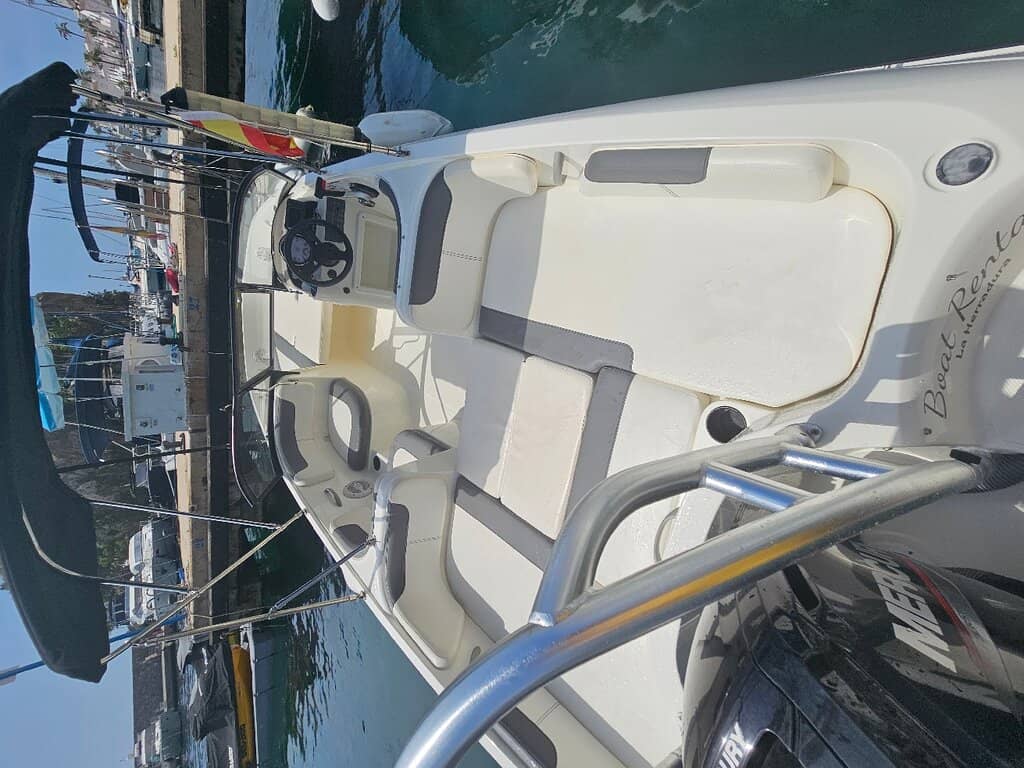 Charming Marina Stroll