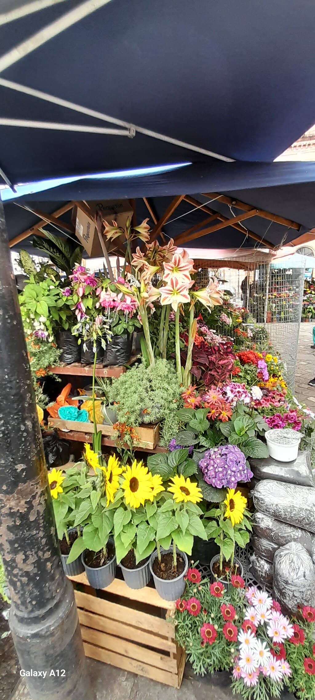 Affordable Bouquets