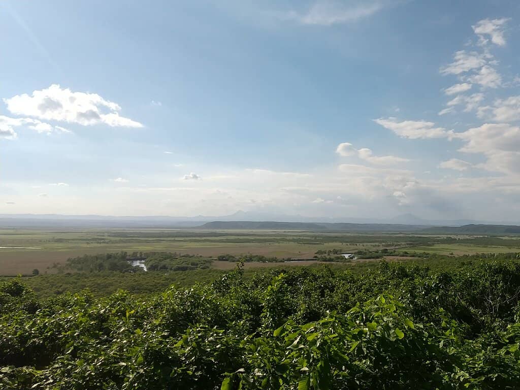 Panoramic Kushiro Marsh View