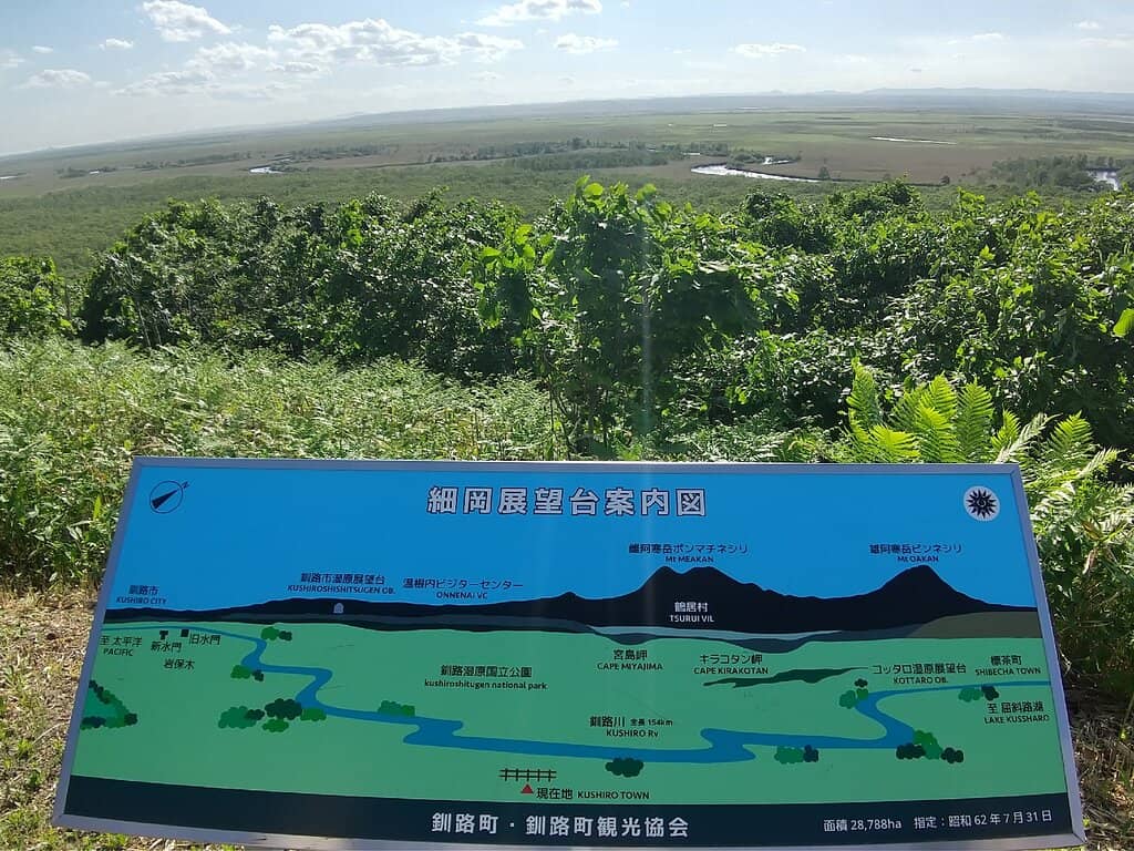 Red-Crowned Crane Spotting