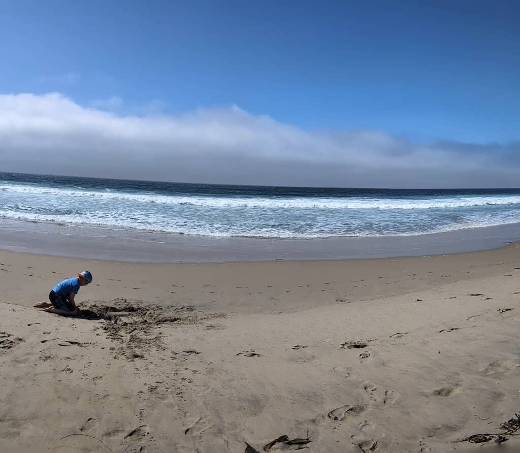 Picnic and Fire Pit Fun