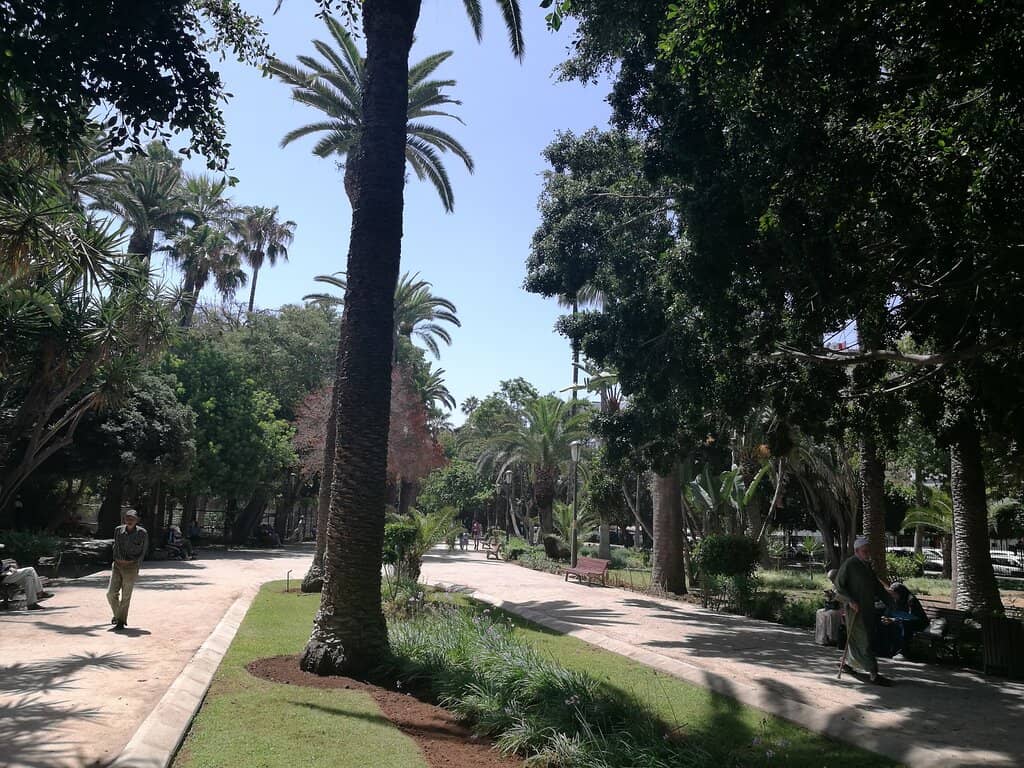 Vertical photo