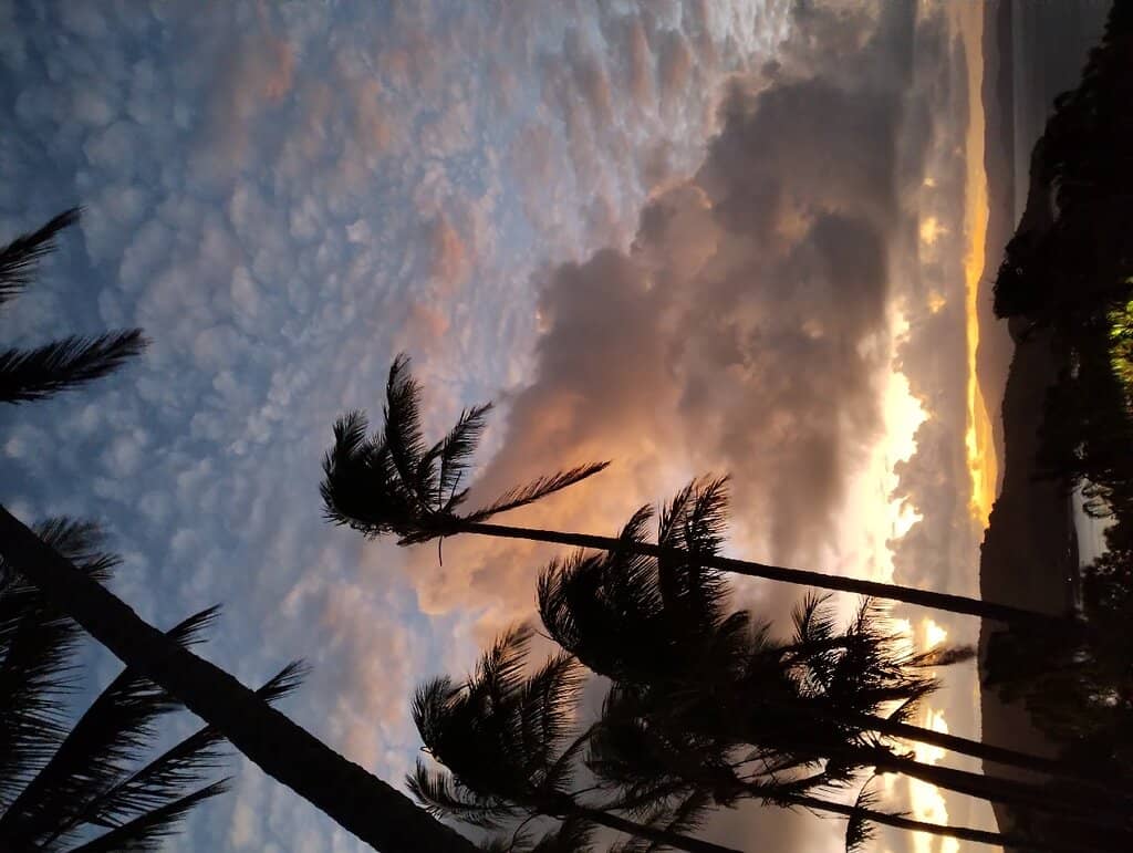 Island Ambiance