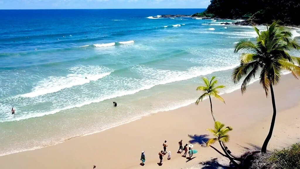 A Engenhoca também é conhecida por ser o principal pico para longboard em Itacaré, com ondas mais cheias e longas, ideais para surfistas iniciantes. Se você busca um cenário natural magnífico e uma experiência autêntica, não deixe de explorar a Praia da Engenhoca! 🏄♂️🌴🌊.