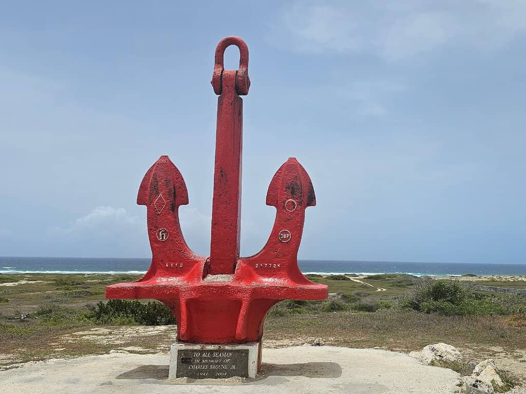 Wild Donkey Encounters