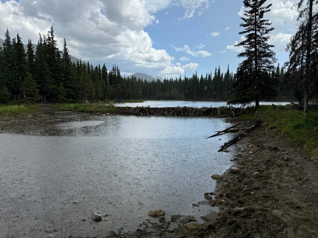 Crystal Clear Waters