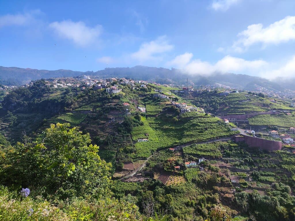 Levada do Norte Câmara de Lobos