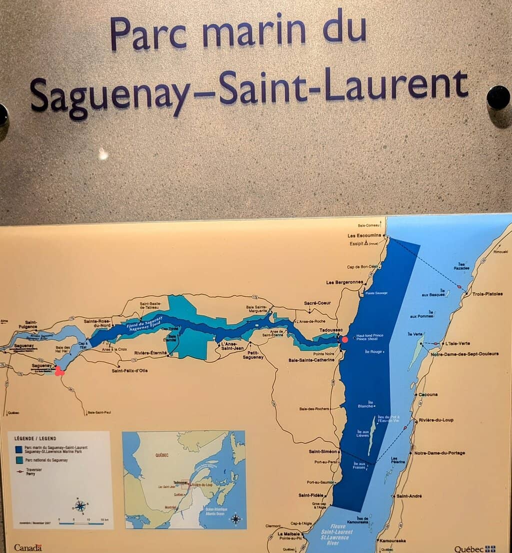 St. Lawrence Marine Life