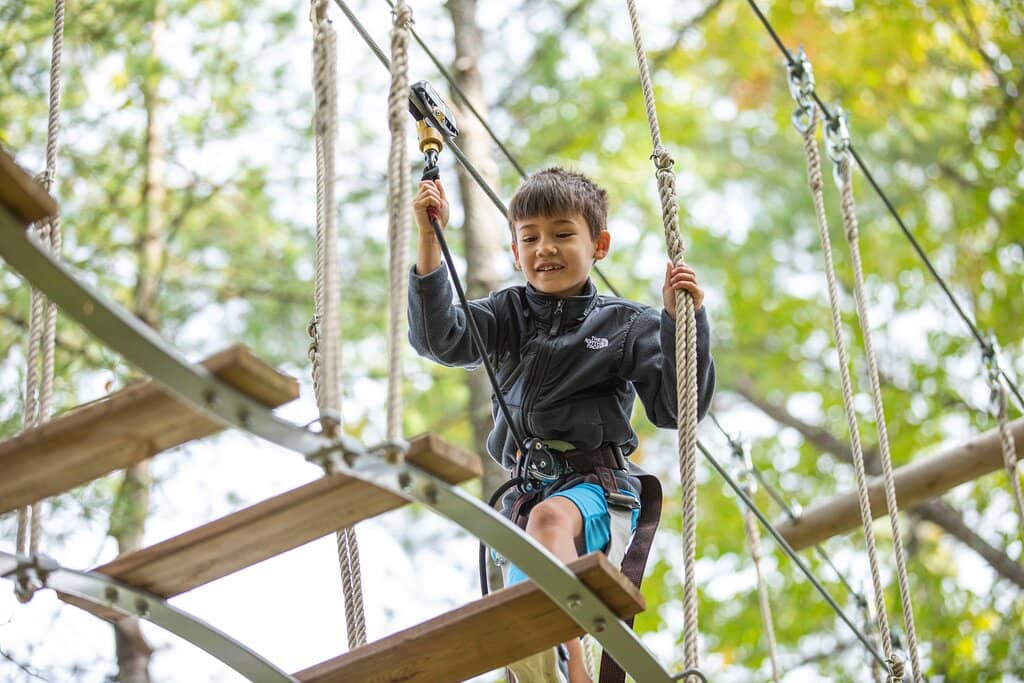 Treetop Obstacle Courses