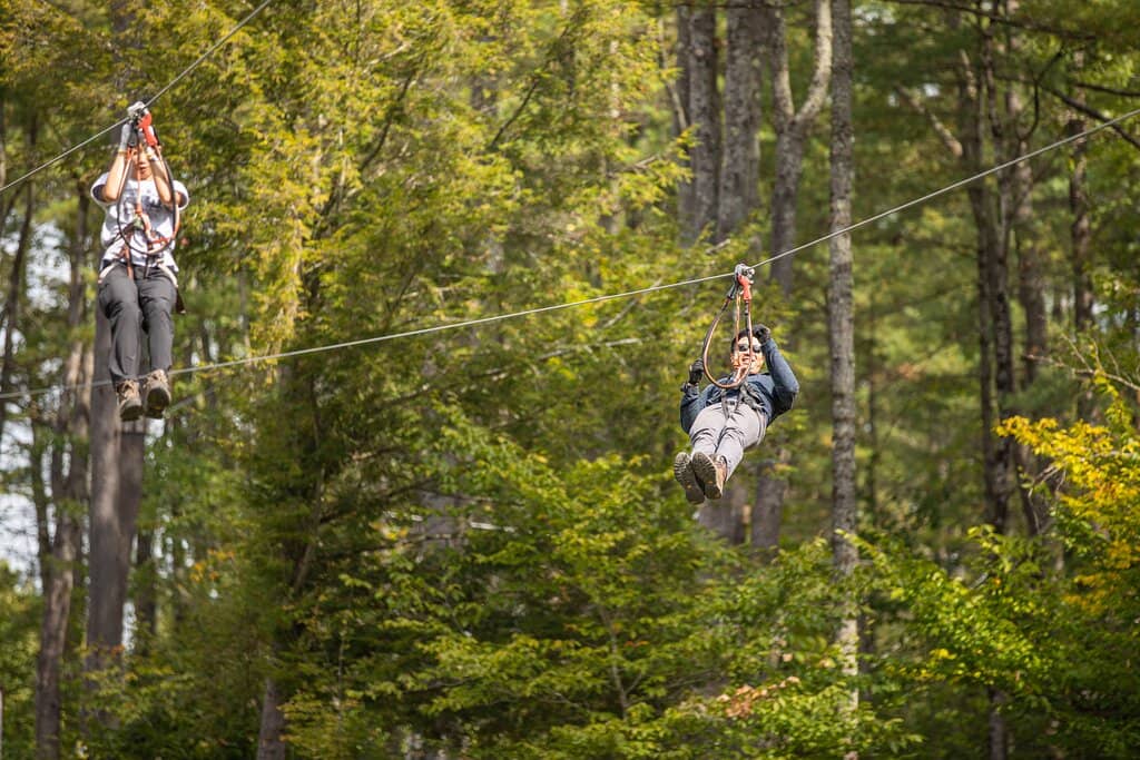 Tarzan Swings
