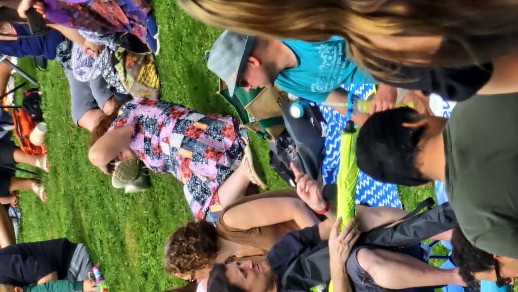 Local & Live Music Festival