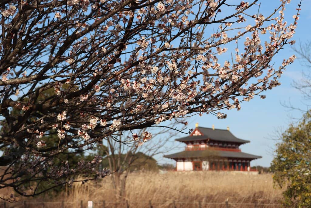 On-Site Museum & Exhibitions