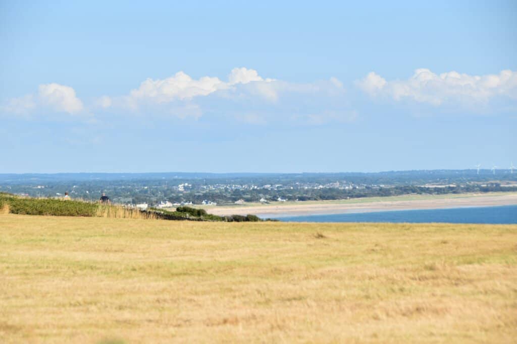 Marine Mammal & Seabird Displays
