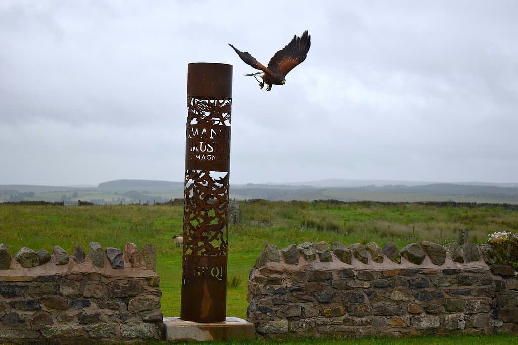 Image from Falconry Event - June 2024