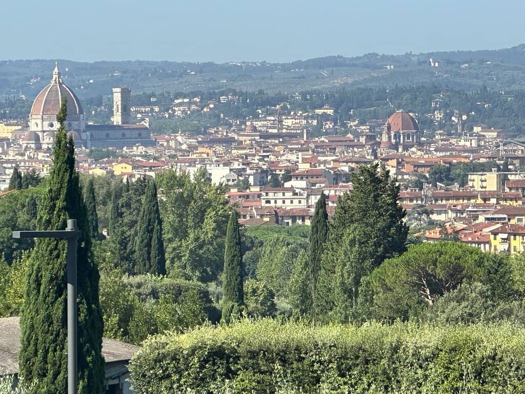 Panoramic Terrace Views
