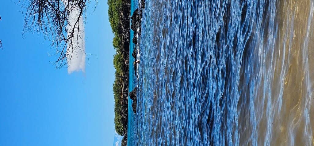 Shaded Shoreline