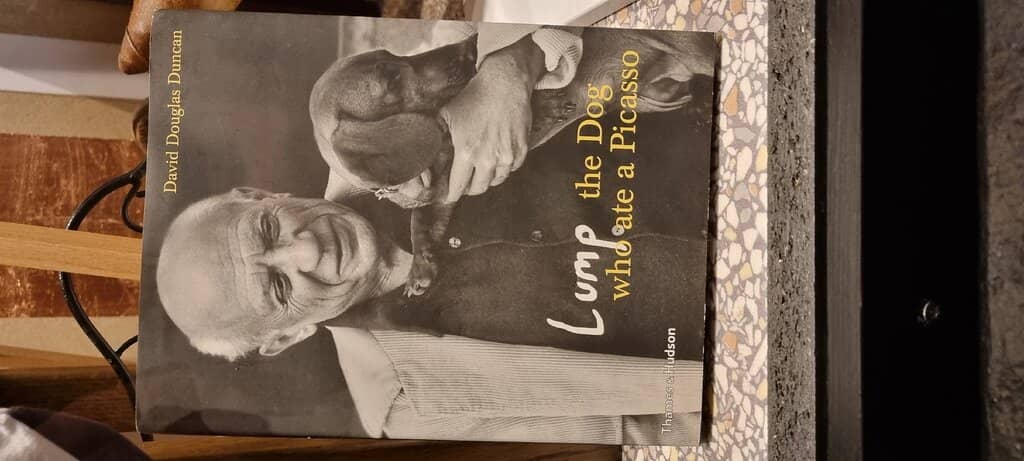 Thousands of Dachshund Exhibits