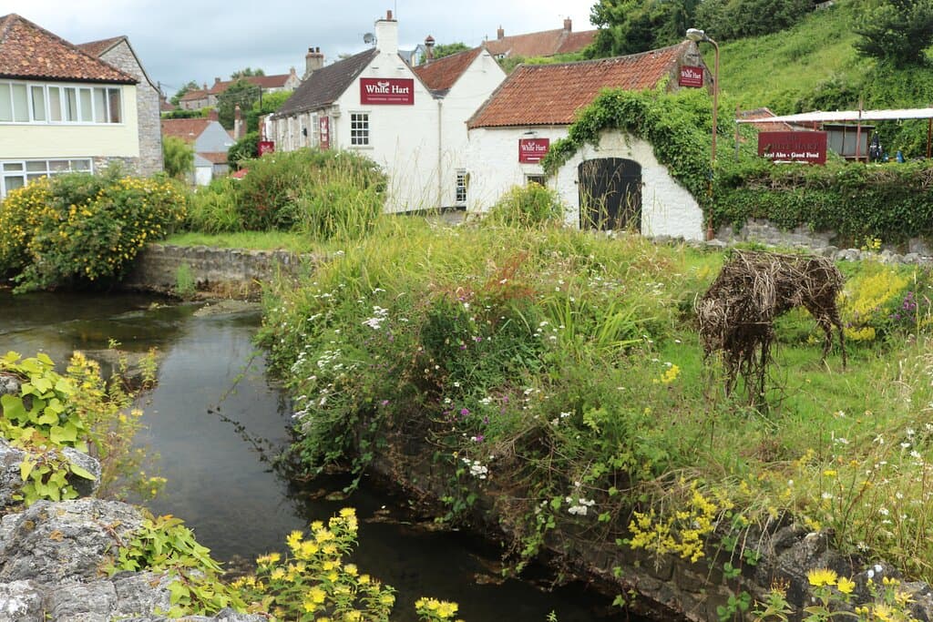 7. The Island Beds, River Yeo, Cheddar, Somerset (July 2024)