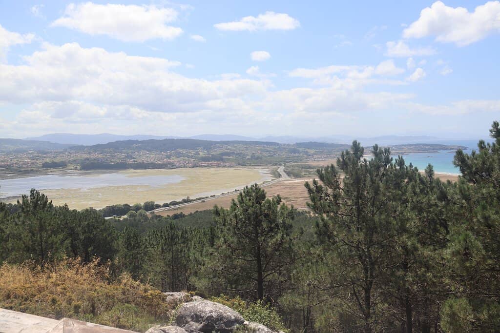 Wildlife Information Center