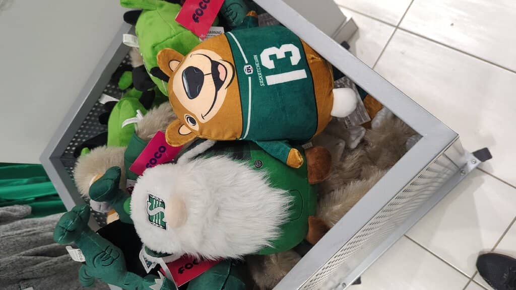 Iceville at Mosaic Stadium