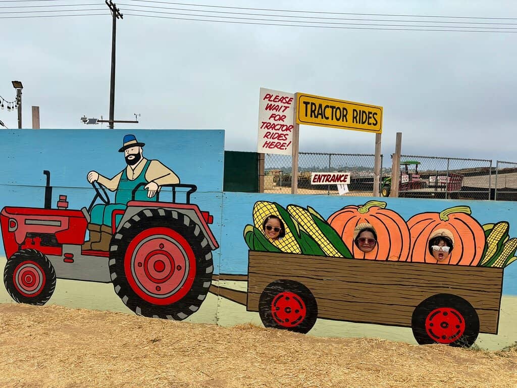 Sunflower & Marigold Mazes