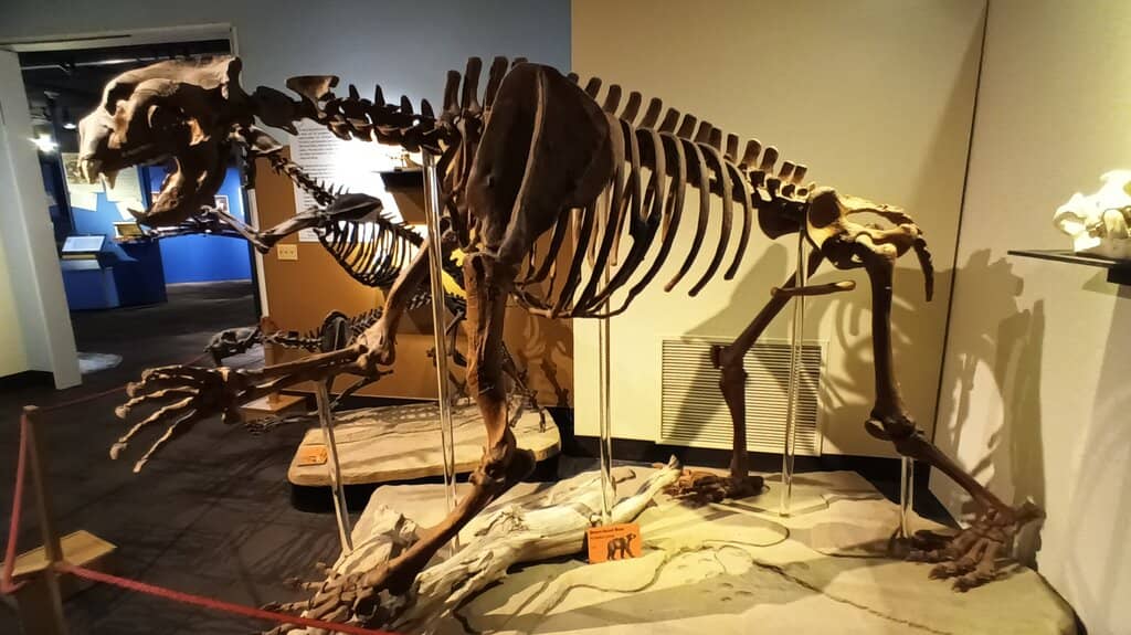 Interactive Stations