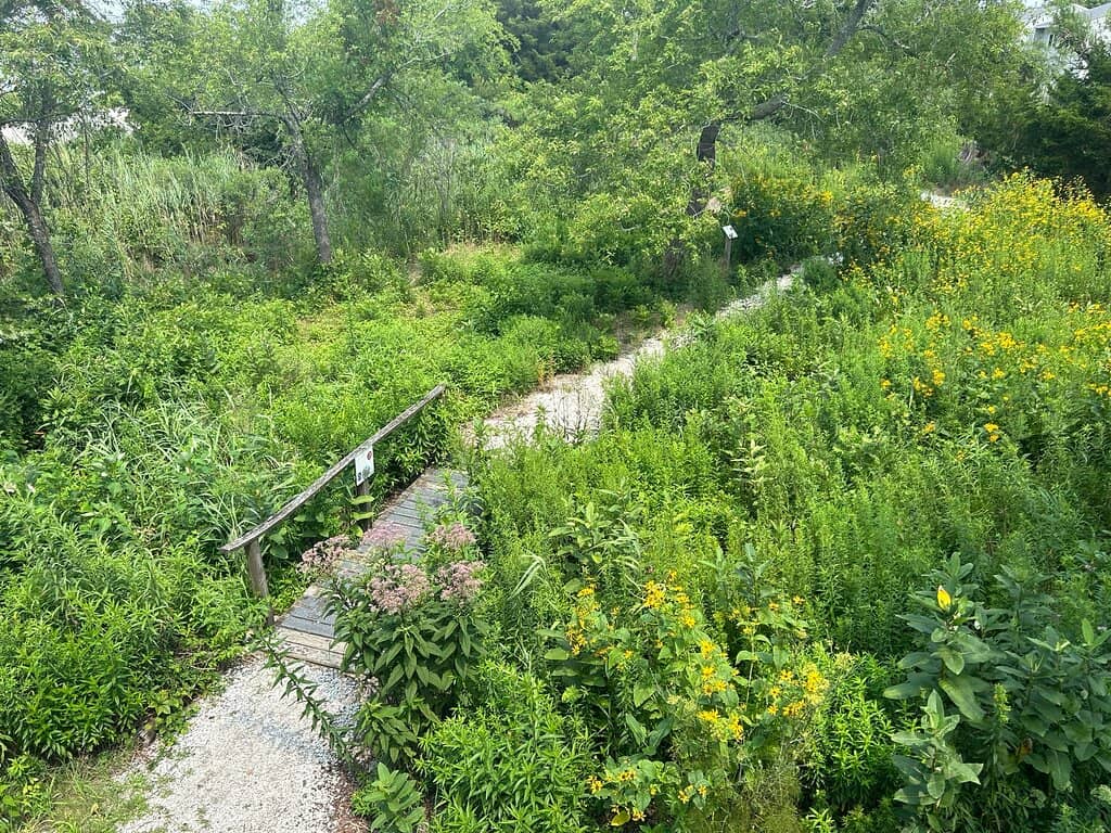 Observation Tower & Gardens