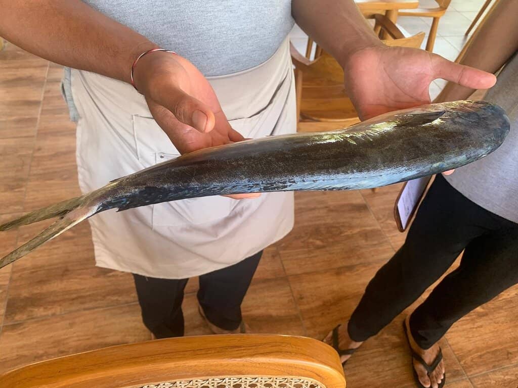 Magical Beachfront Ambiance