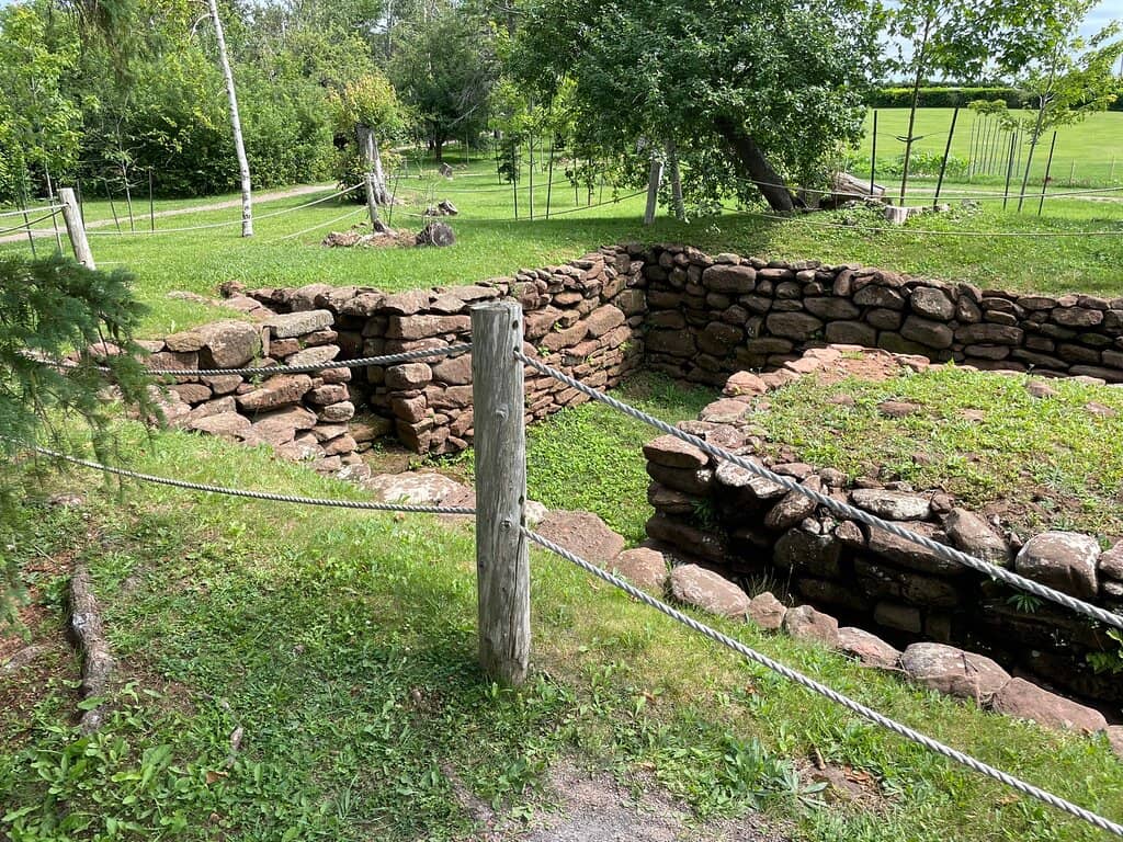 The Hundred-Year-Old Apple Tree