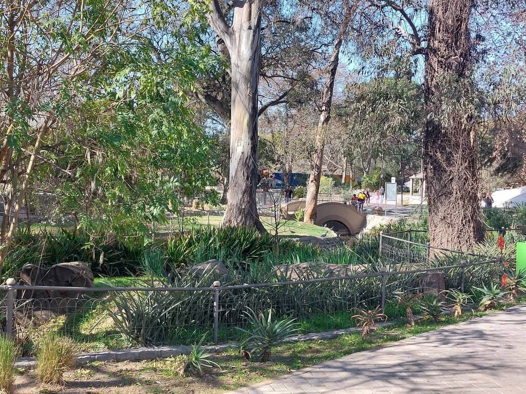 Urban Oasis
