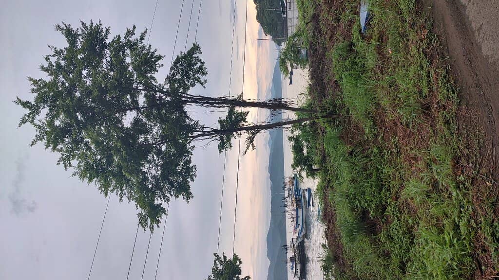Vertical photo