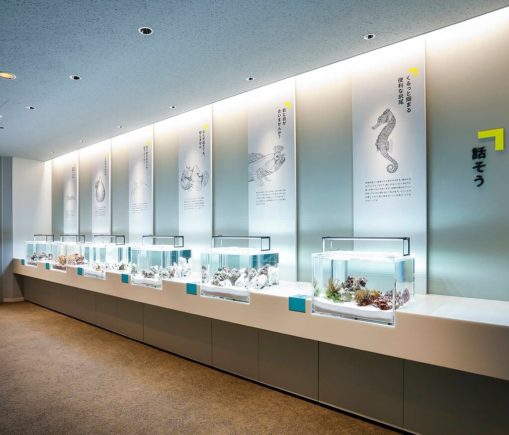 CUBE水槽「話そう」