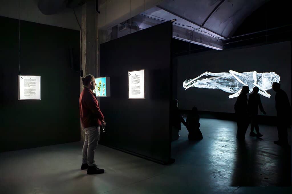 Dynamic & Evolving Exhibitions