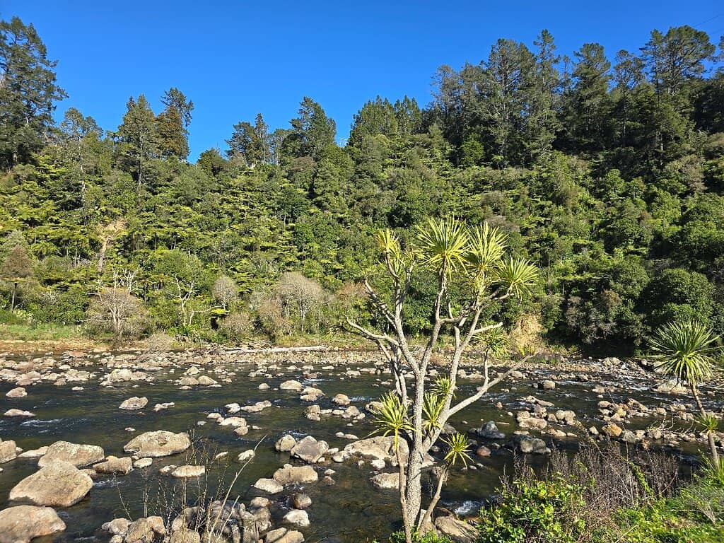 Owharoa Falls