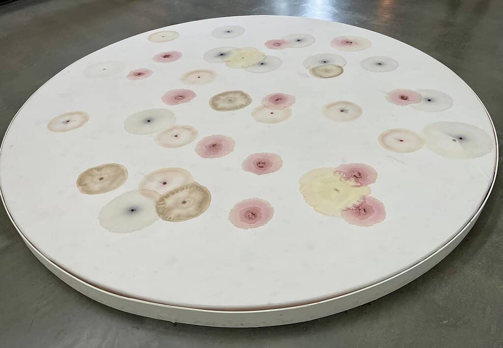 500 Years of Middle Class History