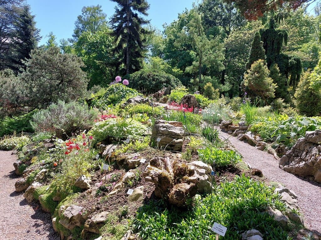 Giardino roccioso