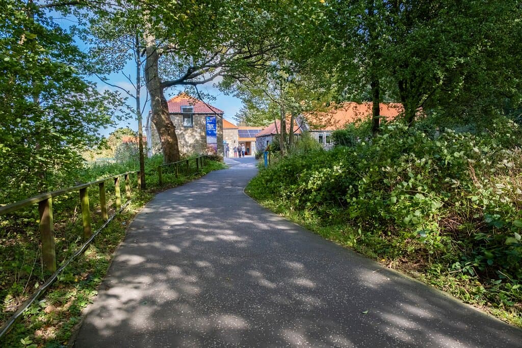RSPB Loch Leven, approaching the visitor centre from the car park