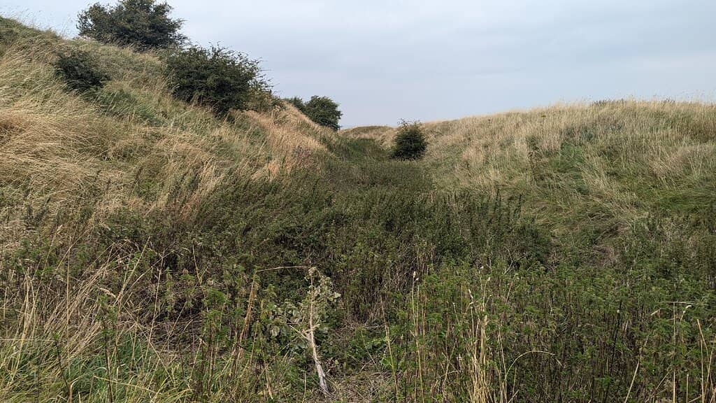 Peaceful Countryside Walk