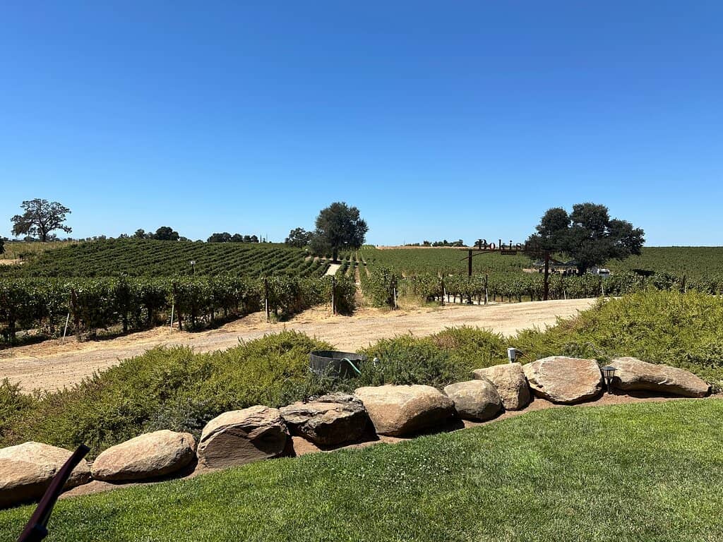 Wine & Cheese Experience