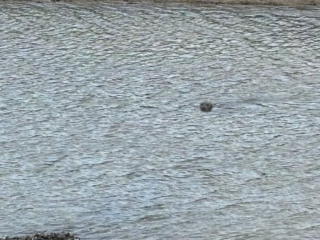 Birdwatching Paradise