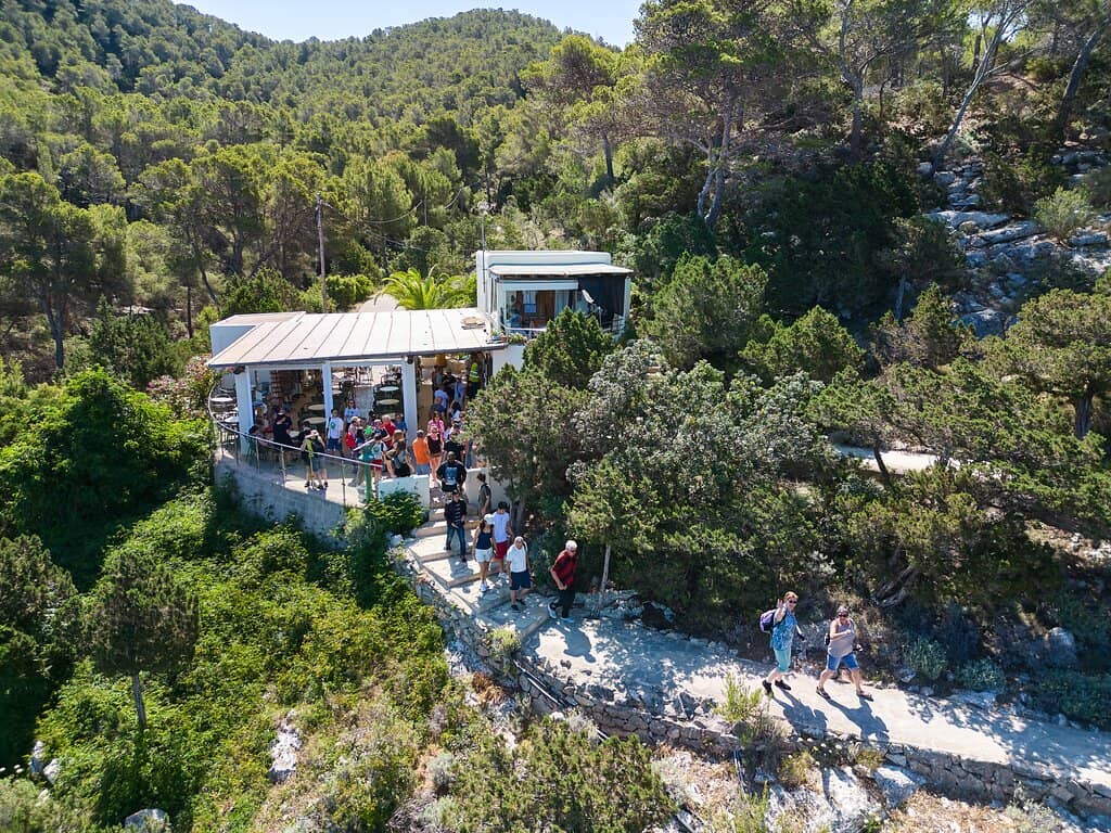 The Ancient Cave Interior
