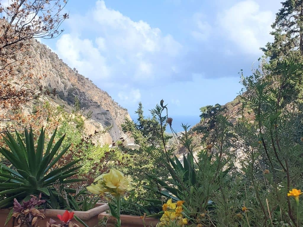 Tranquil Hillside Setting