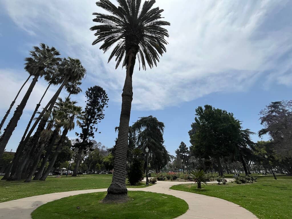 Playgrounds & Paddling Pool