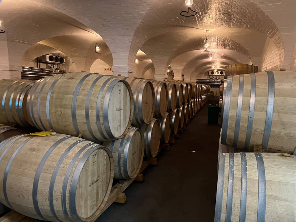Sauvignon Blanc 2023