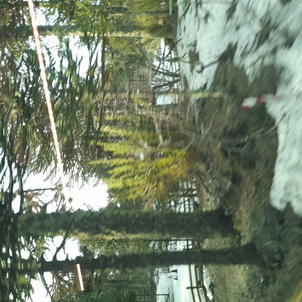 Winter Snowscapes